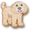 ”B’golden Doodle Puppy Jibbitz”-skoberlocker