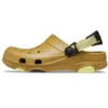 Classic Clog Crocs Beach ”Green”