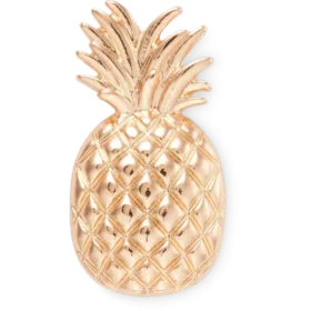 Guldfärgad ananas-Jibbitz-skoberlocker