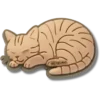 Jibbitz-berlocker med tabbykatt