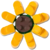 Lego®-solros-Jibbitz™-berlocker Lego®-solros-Jibbitz™-berlocker