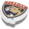 Nhl® Florida Panthers Jibbitz™-berlocker