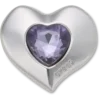 Silver- och lila Smt Gem Heart Jibbitz™-berlocker