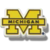 University of Michigan Jibbitz™-berlocker